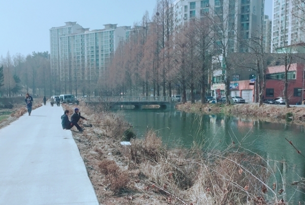 익산 이리천에서 낚시를 즐기는 낚시꾼들.
