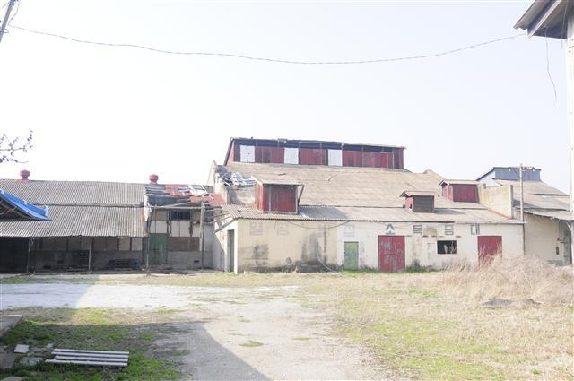 ▲ 지금은 폐허가 된 정미소 건물.