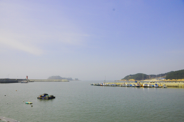 ▲ 몽산포항 전경. /사진=김대욱 기자