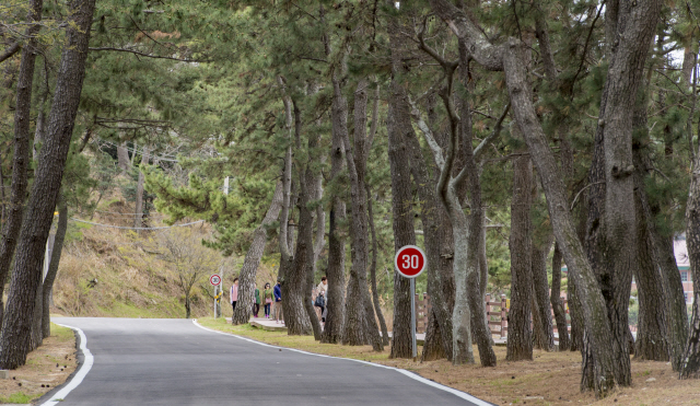 ▲ ‘탄식의 장소’라고 해서 이름 붙혀진 수탄장. 한센병 환자의 자녀를 강제로 격리해 놓고 한 달에 한 번 만날 수 있는 장소다. 전염병을 우려해 서로 손 한 번 잡아보지 못하고 길가에 마주 서서 눈만 마주칠 수 있었다. 광주일보=김진수 기자