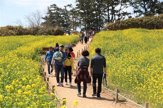 ▲ 마실길을 찾은 방문객들.  사진 제공=부안군