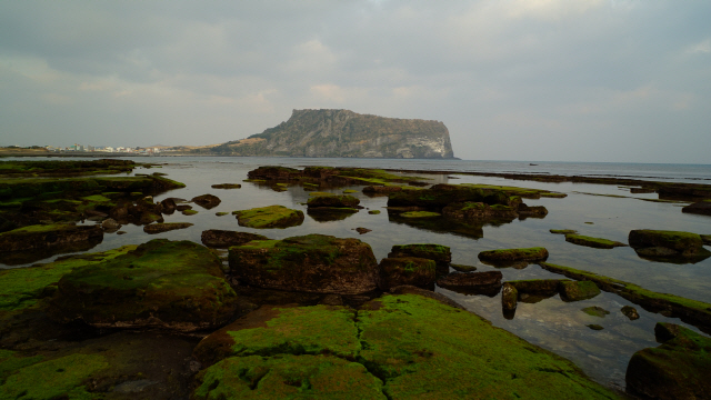 ▲ 7000년 전 바다에서 솟구친 화산분출물이 쌓여 형성된 성산일출봉