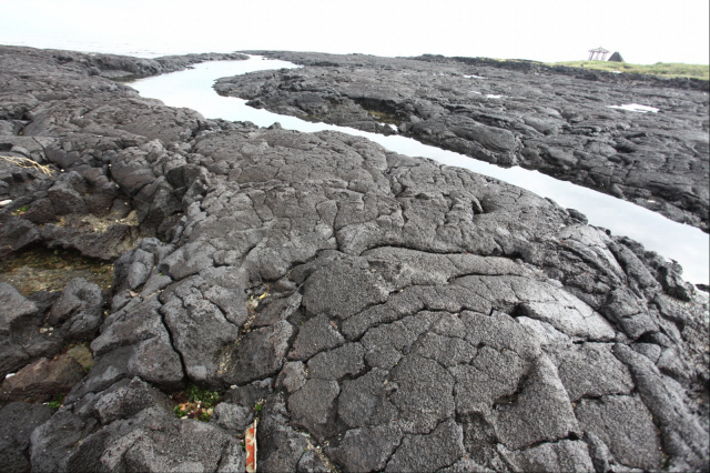 ▲ 용암에 남아 있던 가스가 부풀어 언덕처럼 이뤄진 김녕리 해안의 ‘투뮬러스’