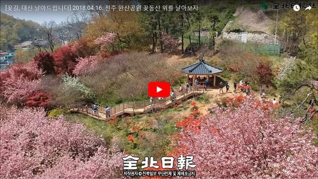 ▲ ‘꽃길 대신 날아드립니다’영상시리즈 중 지난 4월 16일에 게재한 ‘완산꽃동산’편.