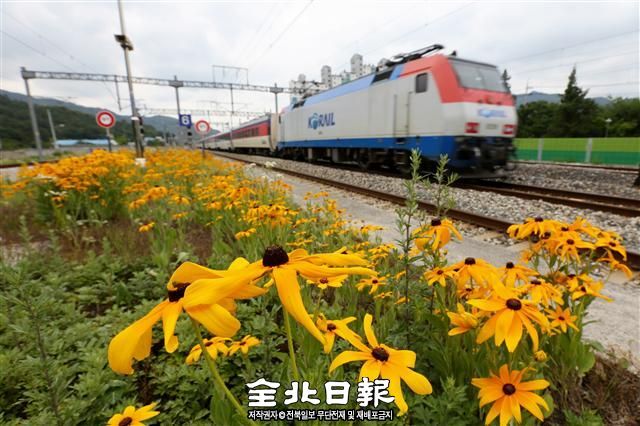 ▲ 지난해 연재한 ‘철의 궤도’기획 취재 중 완주 신리역에서 촬영한 사진. 권혁일 기자