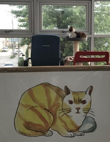 ▲ 토리와 키키의 반려묘 ‘오이’가 함께 생활하고 있다.