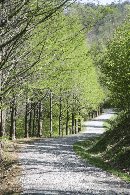 ▲ 계족산 산신제길. 사진 제공=대전 대덕구