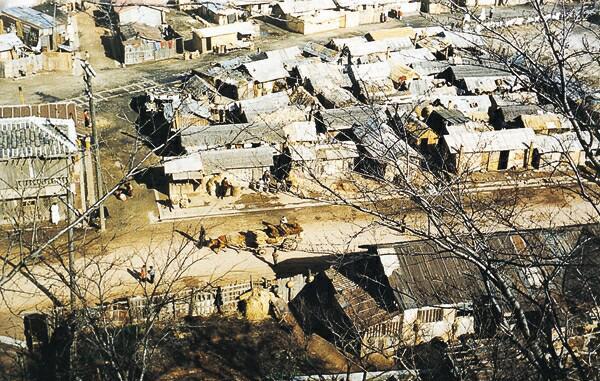 ▲ 1954년 해망동 피난민 집단촌.