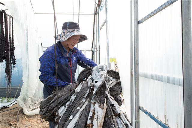 ▲ 김경구 군산시의장이 작업복 차림으로 민생현장에서 일손을 돕고 있다.