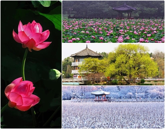 ▲ 김영채 작가가 지난 40년 동안 카메라에 담은 작품들.