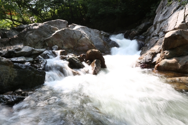 태고의 신비를 간직한 물한계곡 전경. 사진=충북도 제공