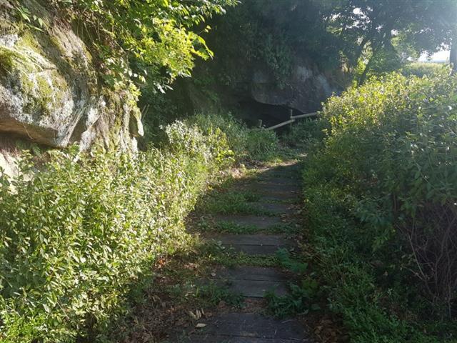 ▲ 요천 인근 산책로에서 바라본 남원 빙고.