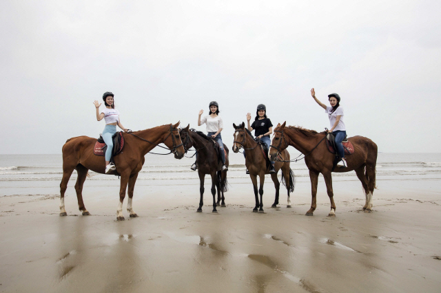 ▲ 임자도의 백사장 승마 체험.