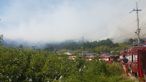 사진=독자 제공