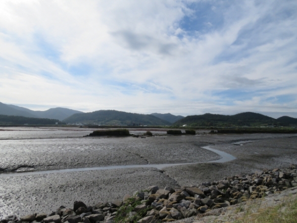 고창 갯벌 /전북일보 자료사진