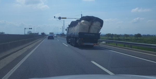 사진= 독자 제공