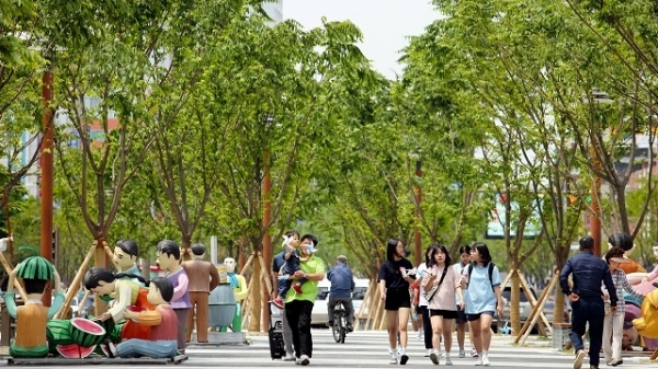 전주시 '1000만 그루 나무심기' 사업 일환으로 조성된 전주역 앞 마중길. 사진 제공= 전주시