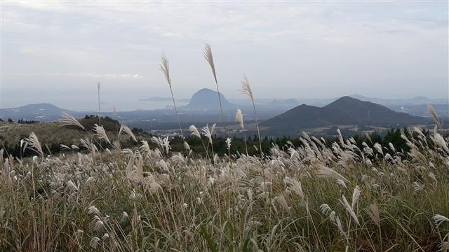 마보기오름 정상