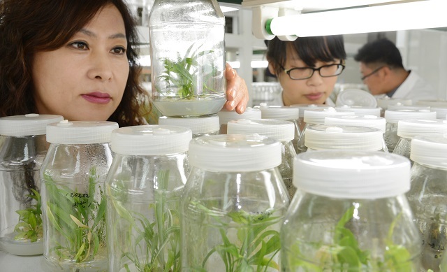 도농업기술원 종자산업