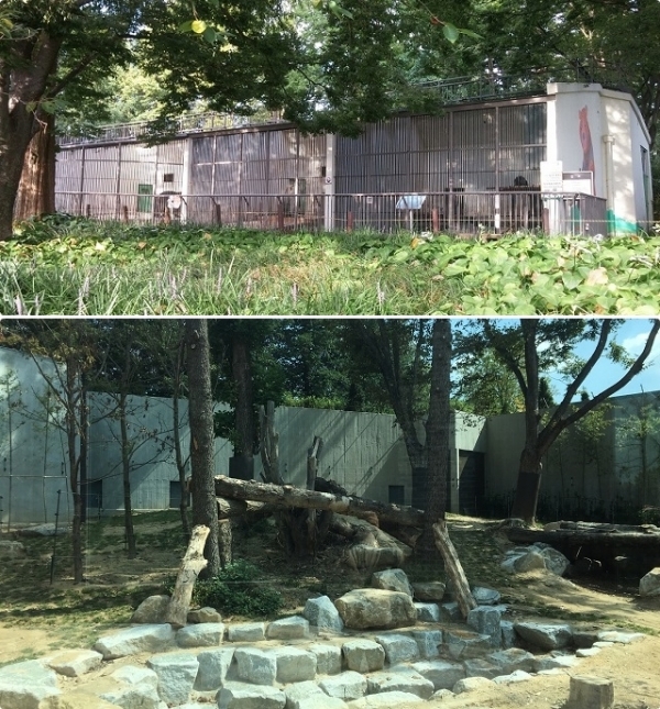 기존 곰사(위)와 바뀐 곰사 모습.