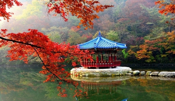 내장산 우화정 단풍.