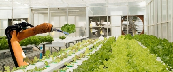 청년이 사라지는 농촌에 첨단기술이 도입되고 있다. 미국·네덜란드는 이미 로봇과 스마트팜을 결합했다.