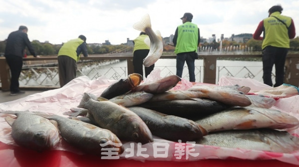 30일 전주 덕진공원에서 '덕진공원 환경 지킴이'들이 생태환경을 지키기 위해 외래종인 배스를 낚시하고 있다. 조현욱 기자