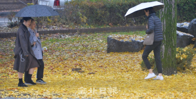 전국이 흐리고 비가 내린 8일 전북대학교에서 우산을 쓴 학생들이 가을비에 떨어진 낙엽길을 걷고 있다. 박형민 기자