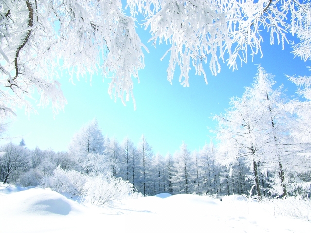 썰매를 타며 운탄고도를 즐기기 위해서는 만항재를 들머리로 해야 한다. 만항재는 겨울철만 되면 천상의 화원이라고 불리는 야생화 단지가 온통 흰눈의 향연으로 절경을 선사한다.