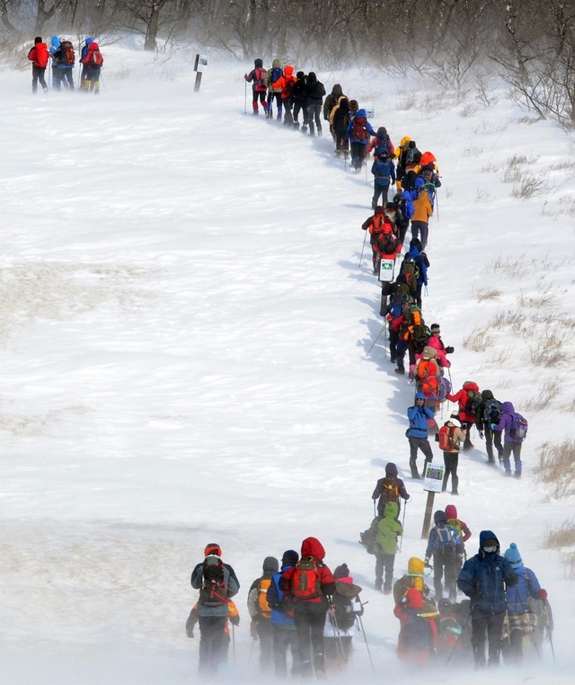 대관령 능선과 목장 그리고 동해바다를 한 눈에 볼 수있는 선자령 순환등산로 구간은 겨울철만 되면 많은 등반객들이 줄지어 트레킹을 즐기는 곳으로 유명하다.