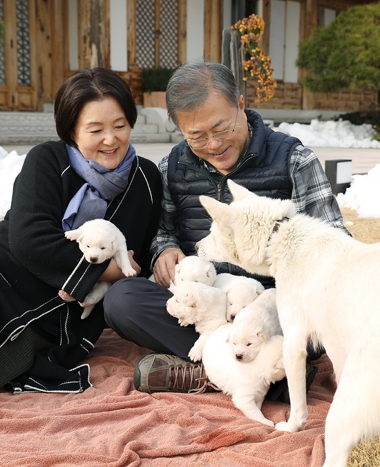문재인 대통령과 부인 김정숙 여사가 25일 오후 관저 앞마당에서 지난 9일 태어난 풍산개 ‘곰이’의 새끼들을 살펴보고 있다. 사진제공= 청와대