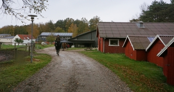 덴마크 바우네호이 애프터스쿨. 100여 명의 학생이 1년 과정으로 생활하는 기숙형 학교다.