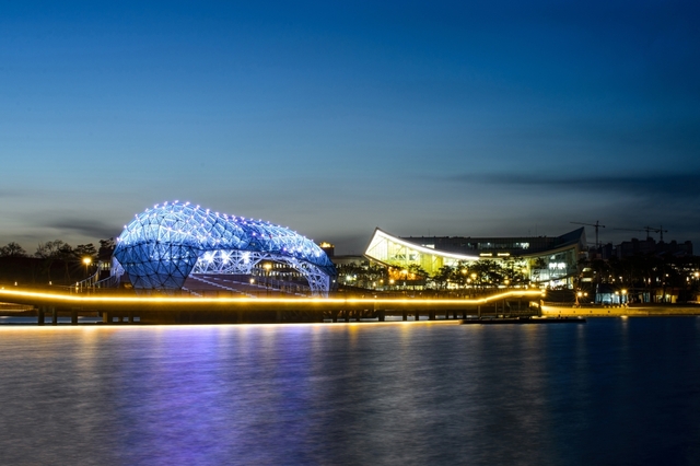 세종호수공원 야경