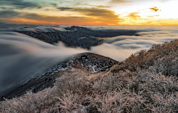 이윤승 작품 '덕유산 빙화'.