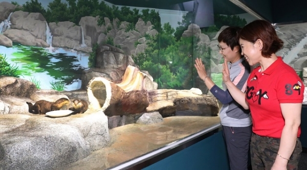 무주 반디랜드 수족관.