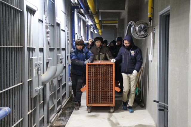 강원도 한 사육곰 농가에서 구출된 반달가슴곰이 지난 7일 전주동물원으로 옮겨지고 있다. /사진 제공= 녹색연합