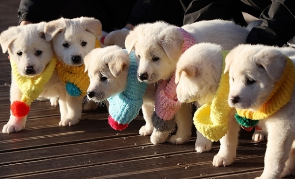 사진제공= 청와대