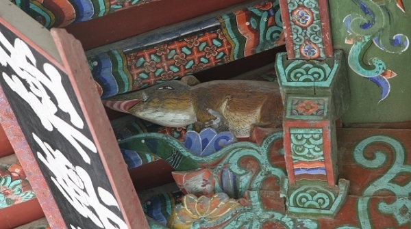 경주 불국사 극락전 황금돼지상.