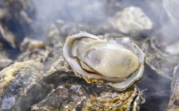굴구이. 광주일보 김진수 기자