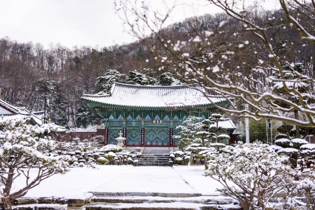 전주 완산공원 정혜사 설경