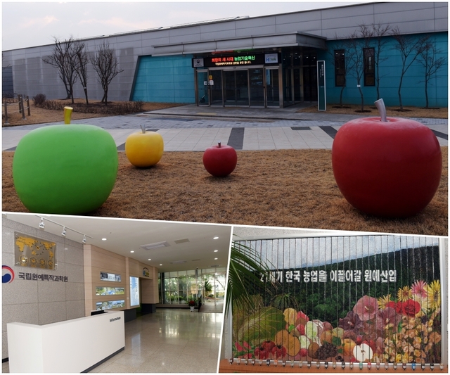 원예특작과학원입구 & 종자로 만든 모자이크 벽화