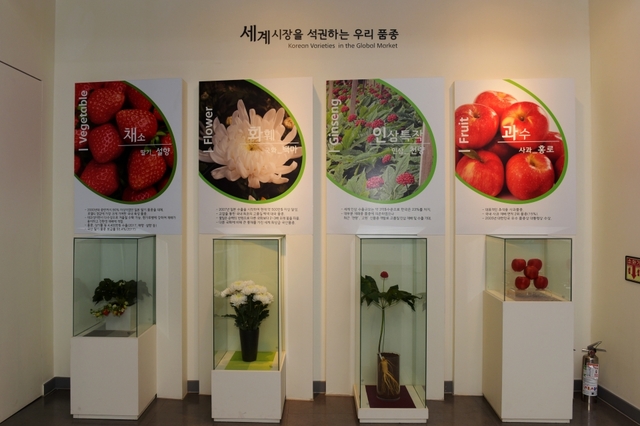 국립원예특작과학원에서 개발한 품종