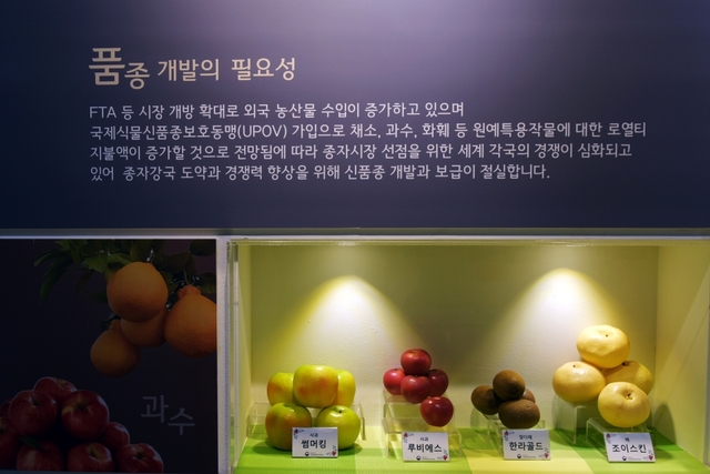 국립원예특작과학원에서 개발한 품종