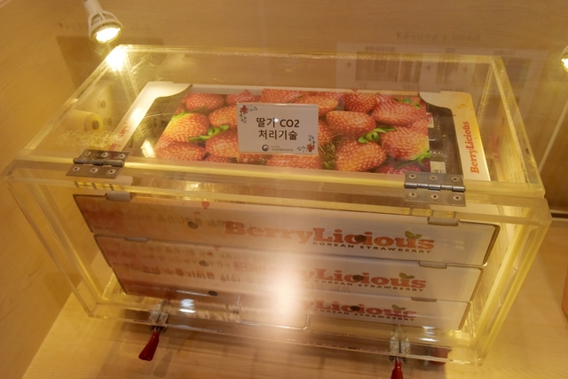 수출확대와 선도유지 포장 기술