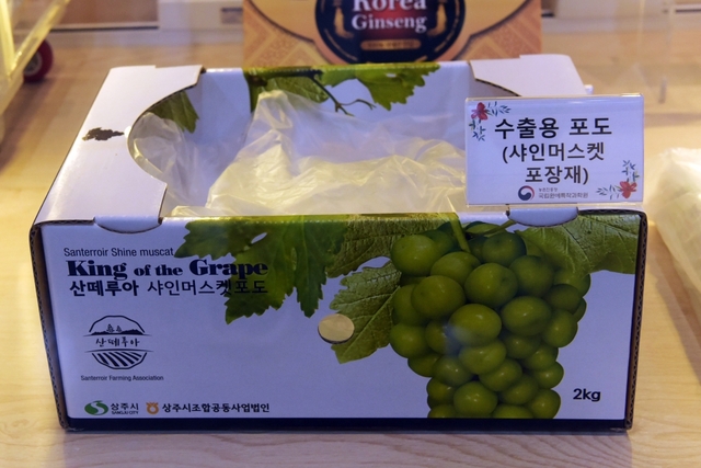 수출확대와 선도유지 포장 기술