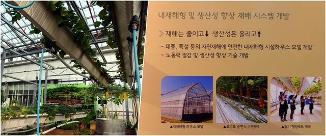 딸기 행잉베드 재배