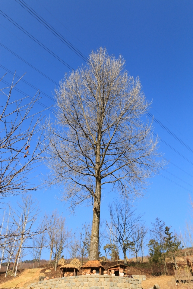 뜬봉샘 가는 길은 맑은 길이다