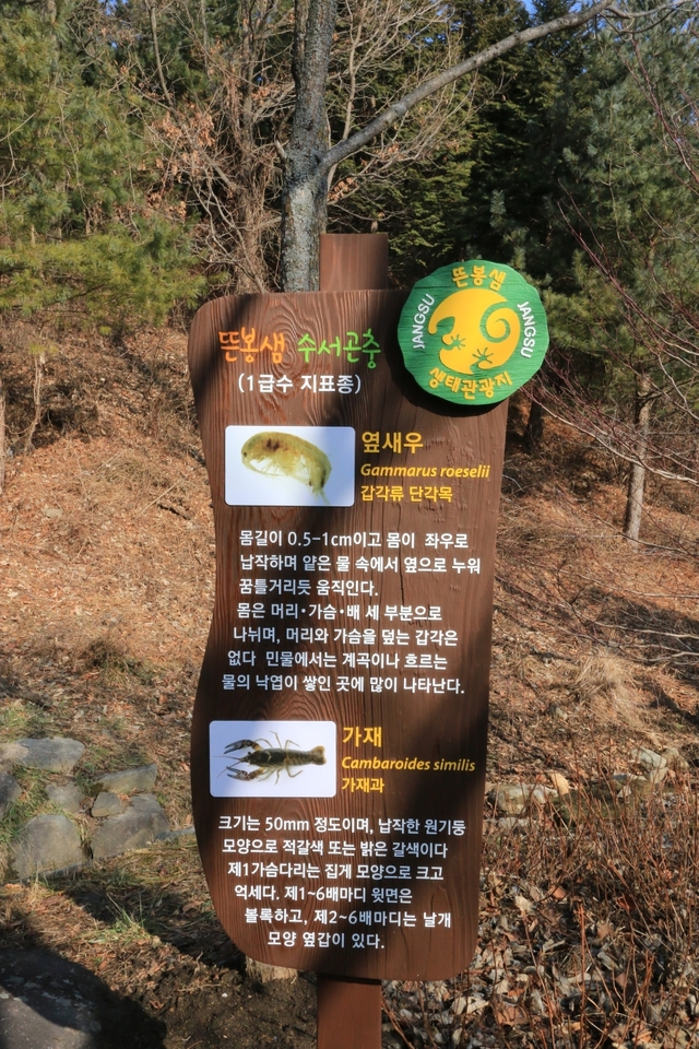 뜬봉샘 주변에는 청정 자연에서 살 수 있는 생물만이 살고 있다