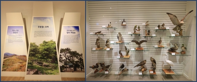 금강사랑 물체험관 내부(왼쪽). 금강사랑 물체험관 안에는 뜬봉샘 주변의 역사와 생태를 소개 하고 있다.