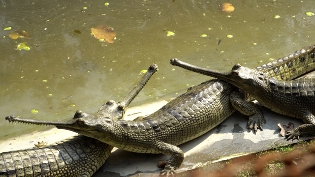 사진 제공 = KBS '걸어서 세계속으로'